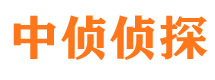 新平市调查取证